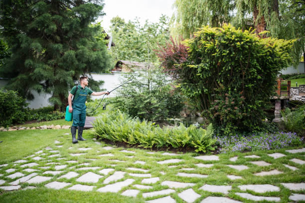 Best Affordable Pest Control Services  in Midland Park, NJ