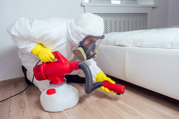 Reliable Midland Park, NJ Pest Control Solutions