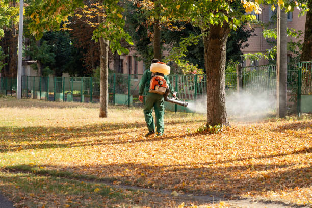 Best Termite Control Services  in Midland Park, NJ